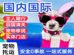 北京首都空运地址国际宠物托运 【国